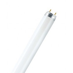 Osram лампа люминесцентная BASIC T8